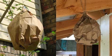 making a fake wasp nest out of a paper bag|paper wasp nest.